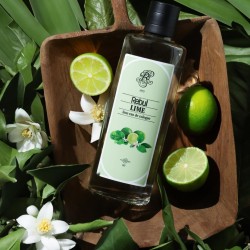 KOLONYA REBUL LIME 250 ML
