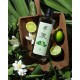 KOLONYA REBUL LIME 250 ML